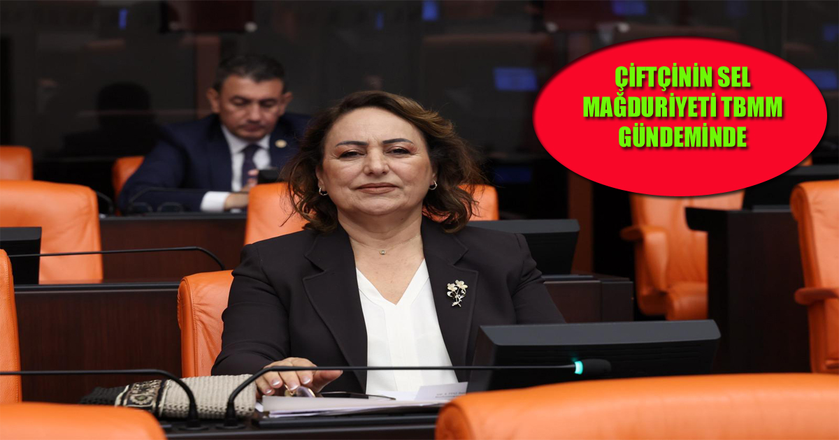 ÇİFTÇİNİN SEL MAĞDURİYETİ TBMM GÜNDEMİNDE