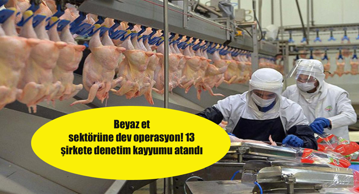 Beyaz et sektörüne dev operasyon! 13 şirkete denetim kayyumu atandı